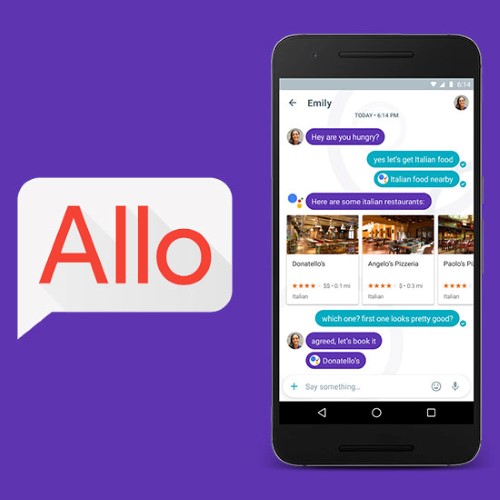 google-alloimage-by-google