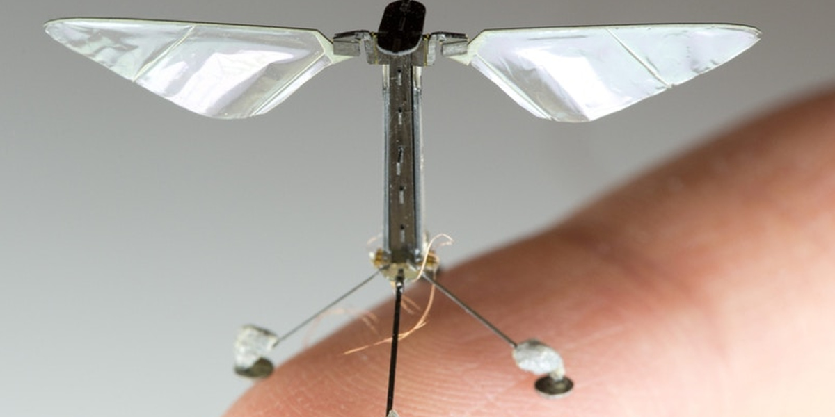 Die erste Robobee auf einem Finger